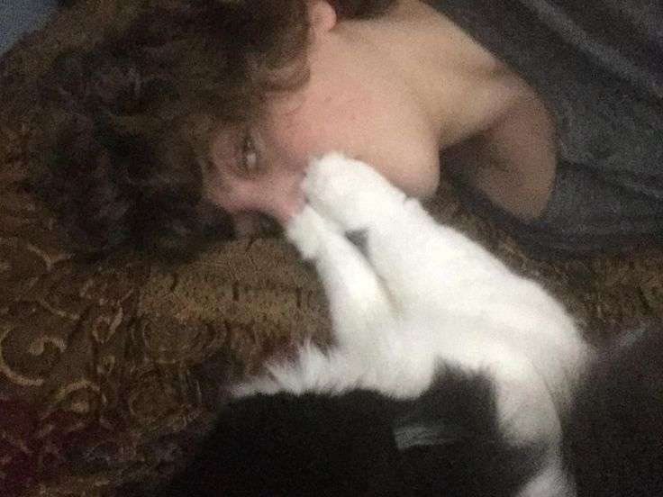 my cat puts his paws on my face. it