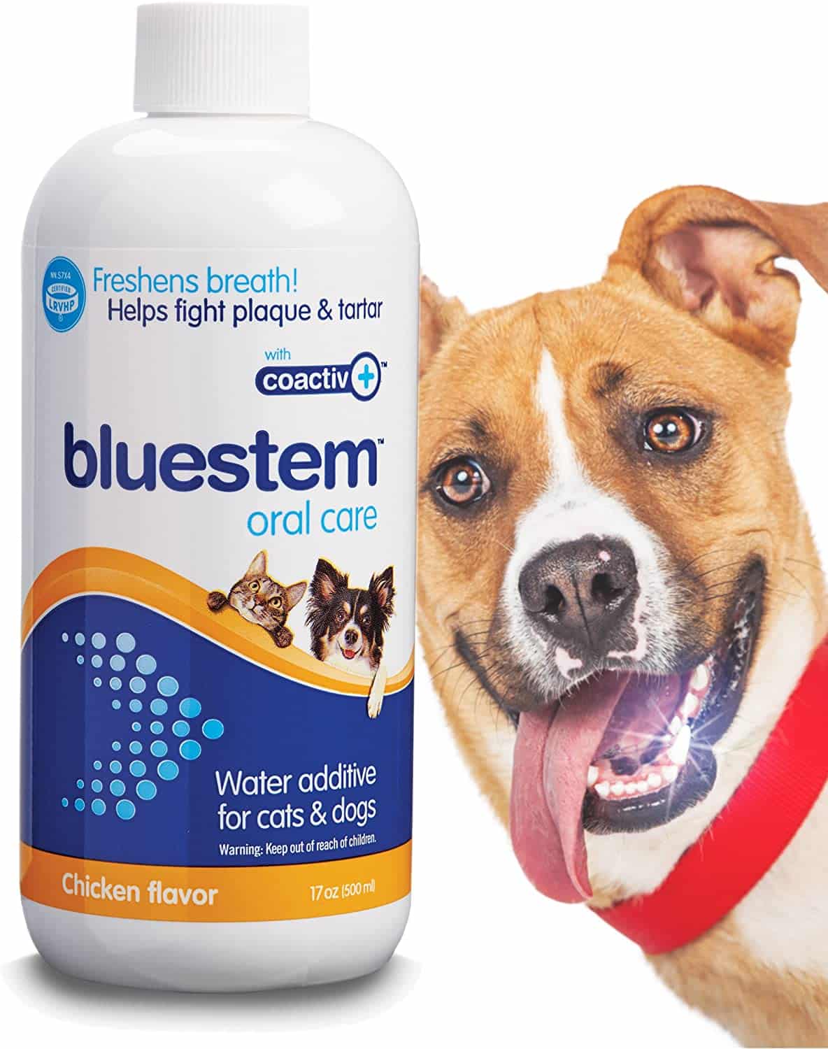 Pet Water Additive Oral Care: for Dogs &  Cats Bad Breath, Dental Rinse ...