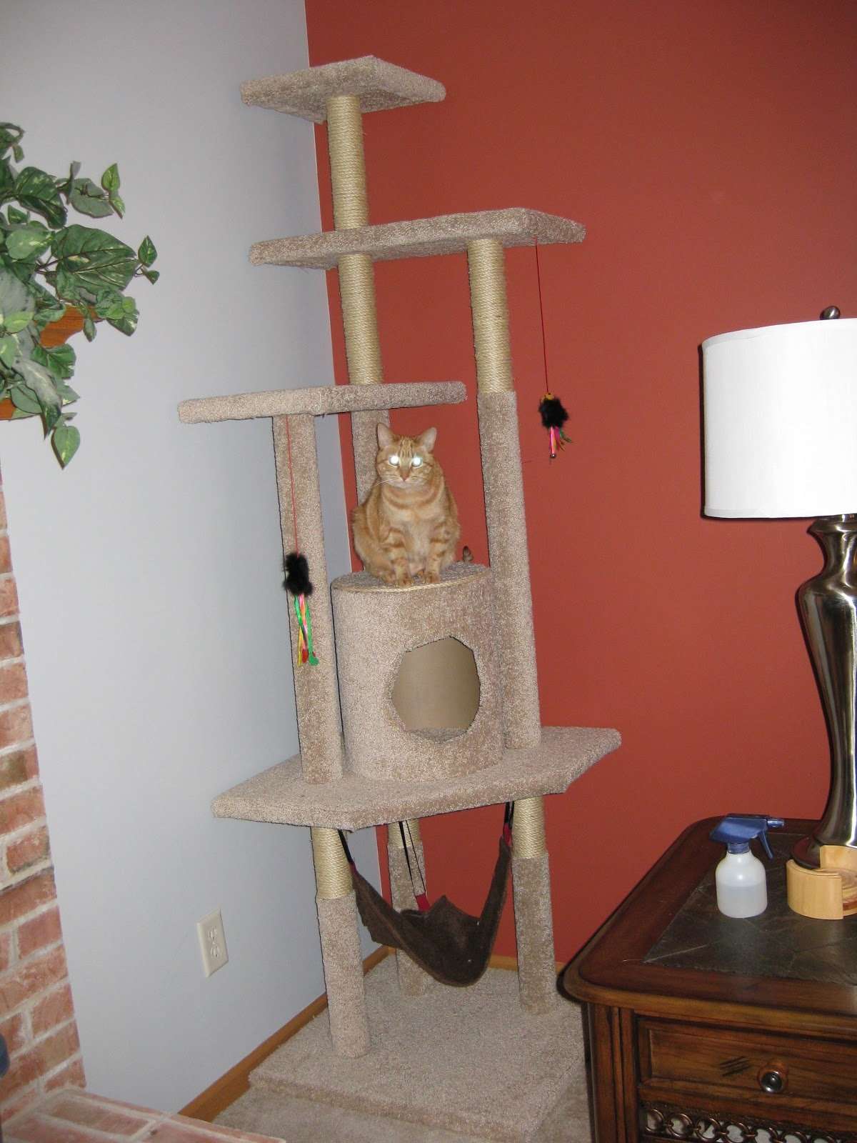Pickle Perfect: How to Build a Cat Tree