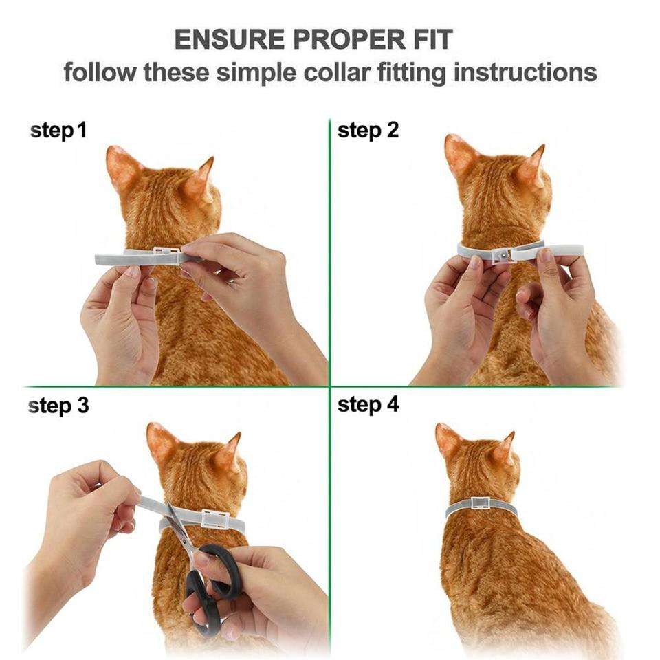 Pro Guard Flea And Tick Collar For Cats  FeelLifeStore