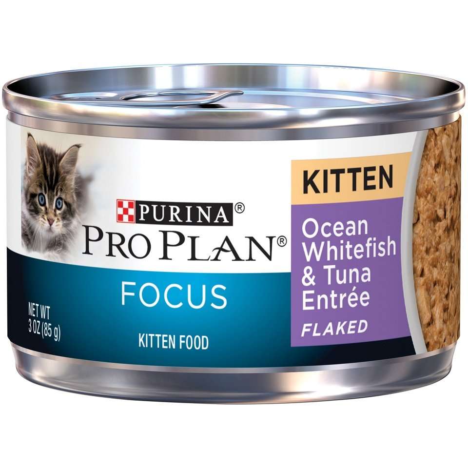 Purina Pro Plan Focus Kitten Ocean Whitefish and Tuna ...