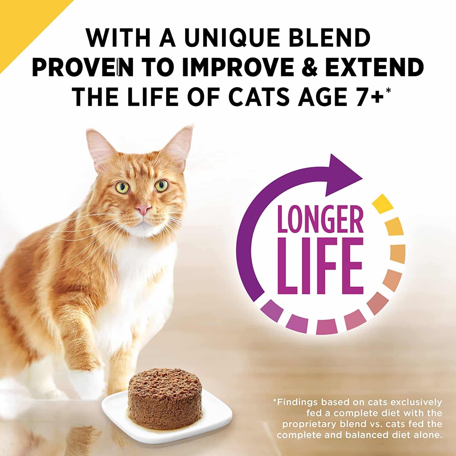 Purina Pro Plan Grain Free Senior Pate Wet Cat Food Variety Pack, PRIME ...