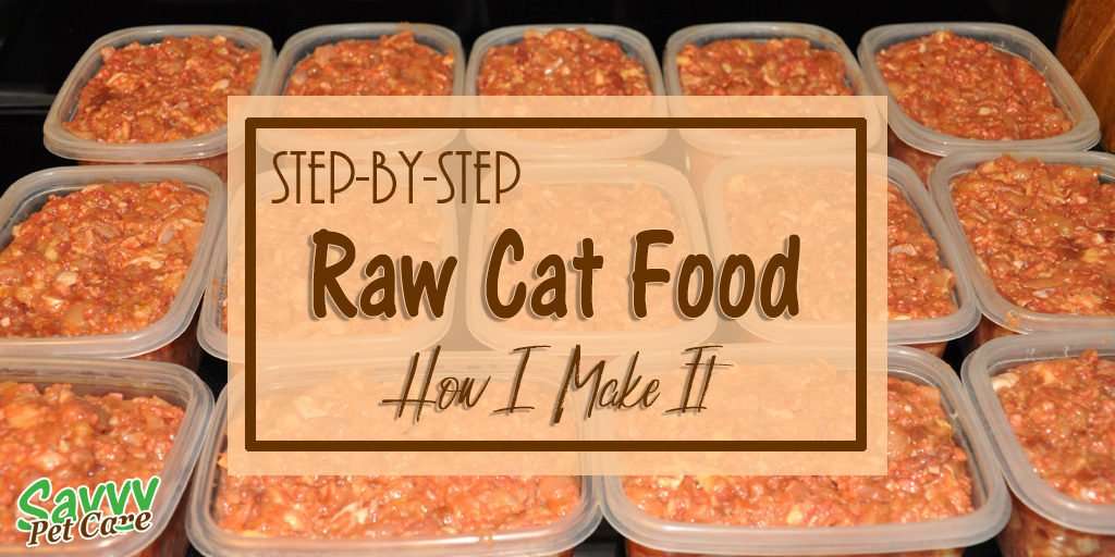 Raw Cat Food