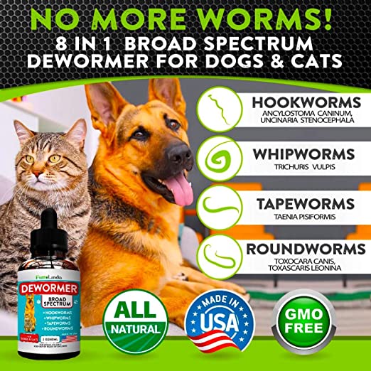 Roundworm Types Of Worms In Cats