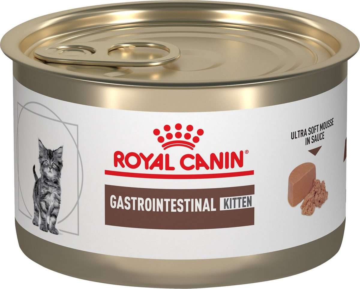 ROYAL CANIN VETERINARY DIET Gastrointestinal Kitten Ultra Soft Mousse ...