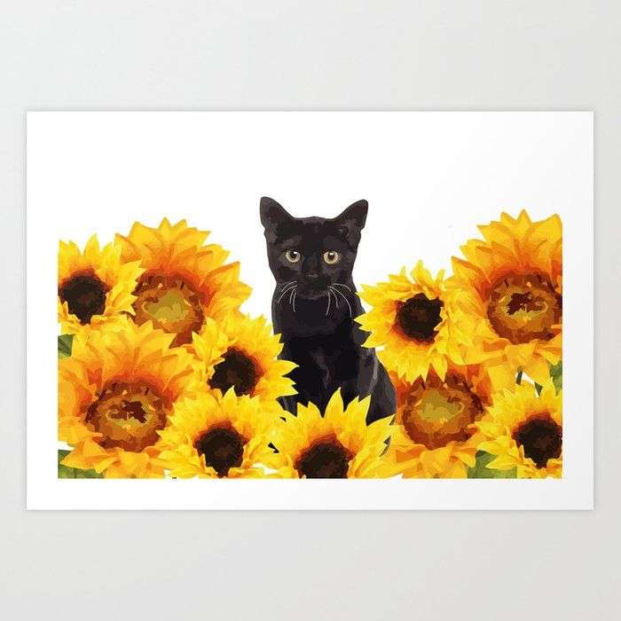 Sunflower Black Cat Art Print by move