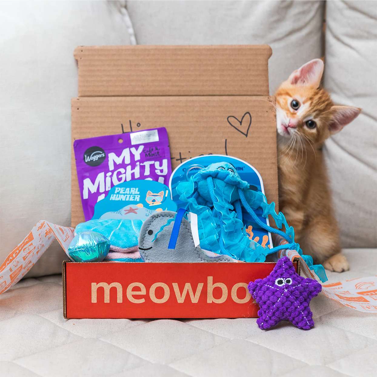 The 8 Best Cat Subscription Boxes of 2020