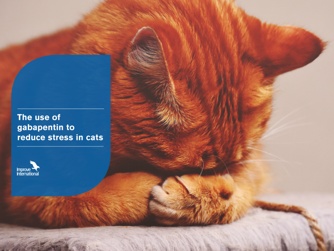 The use of gabapentin to reduce stress in cats