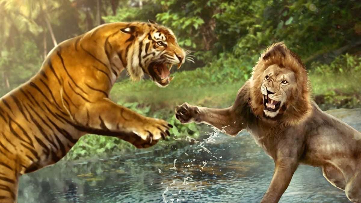 Top 10 Biggest Wild Cats in the world