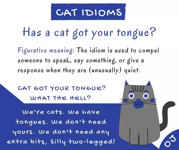 What does cat got your tongue mean?