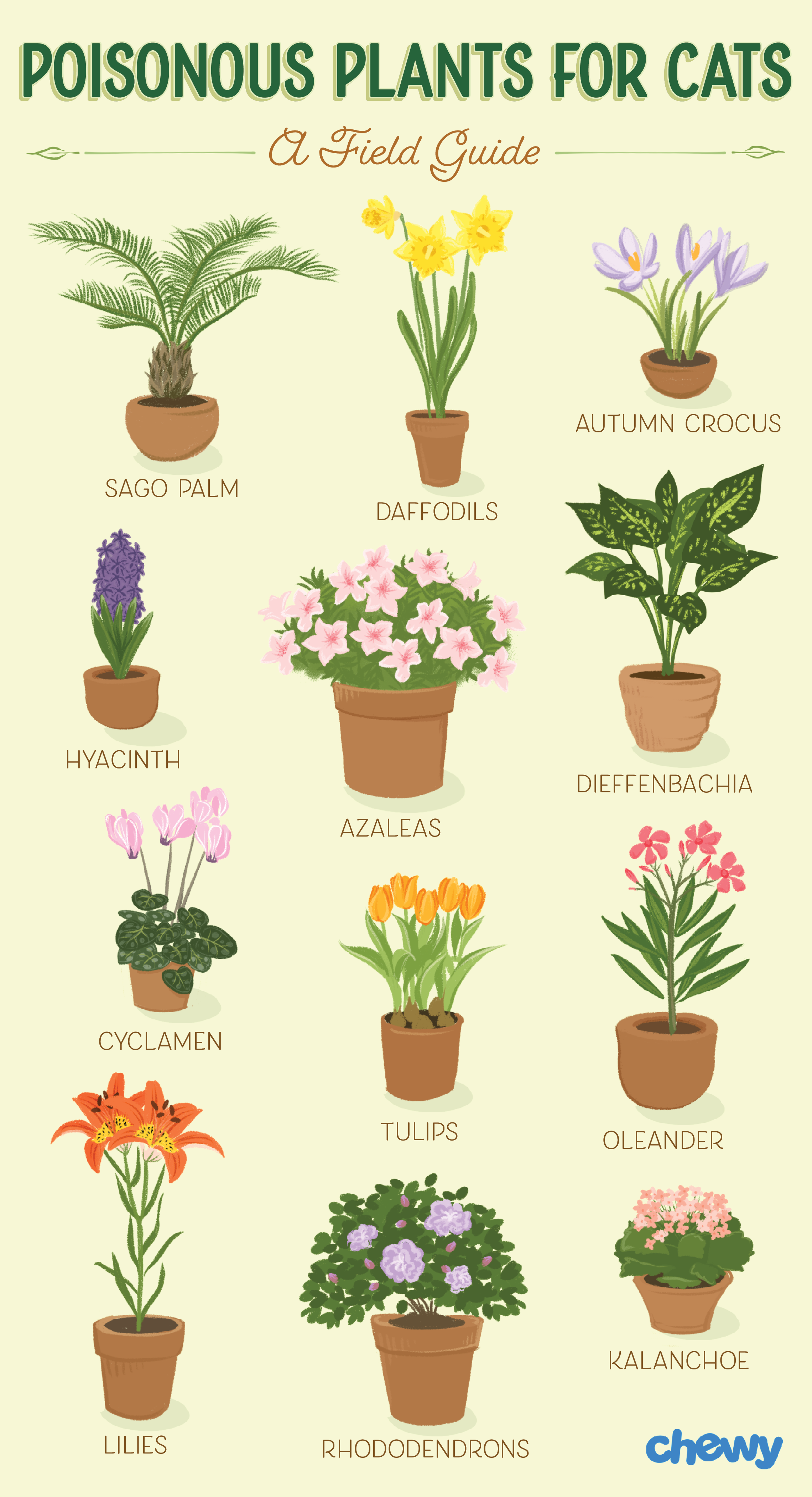 Which Plants Are Poisonous to Cats? A Complete Guide ...