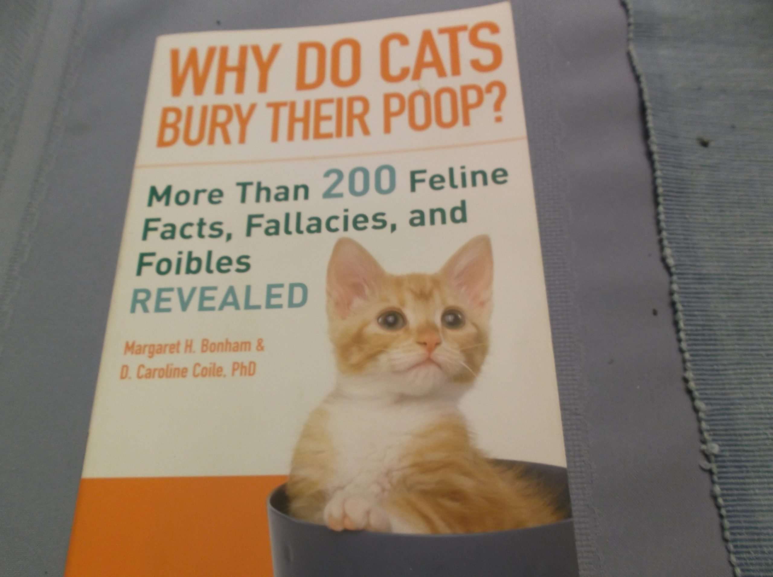 Why do Cats Bury Their Poop Archives